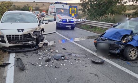 Un şofer băut a provocat un accident între Somova şi Mineri