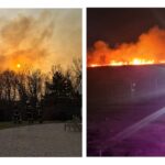 Aproximativ 50 de hectare de vegetaţie şi stuf de lângă Dunăvăţu de Jos, incendiate
