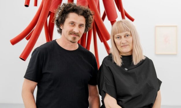 Magdalena şi Bogdan Pelmuş – Expoziţia „Corp Comun. Vol. 2″, mâine, la Muzeul de Artă Tulcea