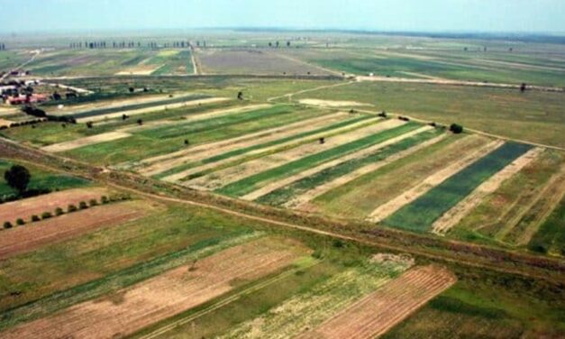 Peste 2.000 de hectare pot fi închiriate de la stat, în judeţul Tulcea
