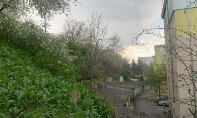 Râpa dintre Victoriei şi Isaccei se transformă în „Parcul Scărilor”