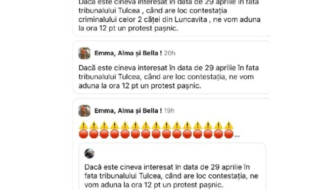 Iubitorii de animale anunţă protest paşnic, mâine, în faţa Tribunalului Tulcea. Neautorizat, încă!