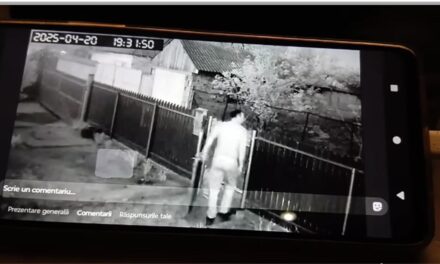 Răzbunare la Luncaviţa: bărbat acuzat că a omorât câinii unui consătean după ce aceştia i-au atacat copilul