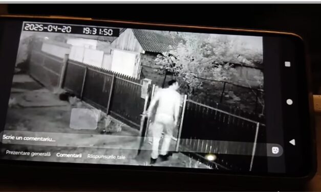 Răzbunare la Luncaviţa: bărbat acuzat că a omorât câinii unui consătean după ce aceştia i-au atacat copilul