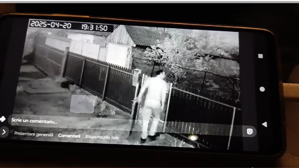 Răzbunare la Luncaviţa: bărbat acuzat că a omorât câinii unui consătean după ce aceştia i-au atacat copilul