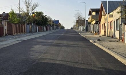 Arbori în ghivece pe strada Mahmudiei