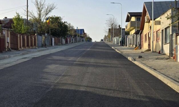 Arbori în ghivece pe strada Mahmudiei