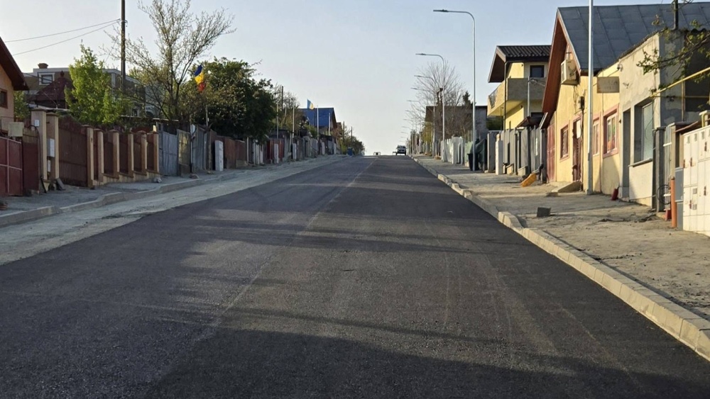 Arbori în ghivece pe strada Mahmudiei
