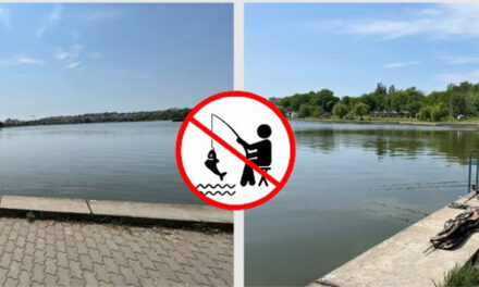 Lacul Ciuperca igienizat, pescuitul restricţionat!