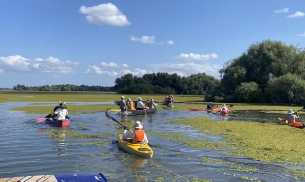 Maratonul Internaţional de Canoe Ivan Patzaichin deschide sezonul de ecoturism în Delta Dunării