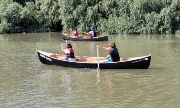 Maratonul internaţional de canoe „Ivan Patzaichin”, la start