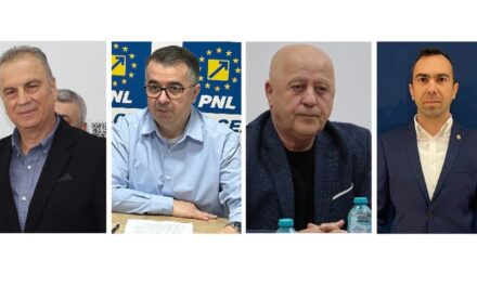 Primul tur de scrutin al alegerilor prezidenţiale: Tulcea este de AUR