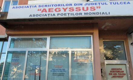 Scriitorii tulceni primesc un sediu temporar, dar medicina are prioritate