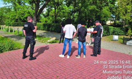 Cruce vandalizată în Cimitirul Eroilor