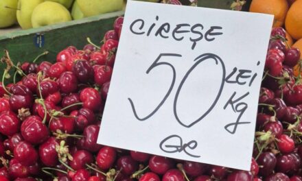 Primele cireşe au apărut în pieţele din municipiu. Sunt din Grecia şi se vând cu 45-50 de lei kilogramul