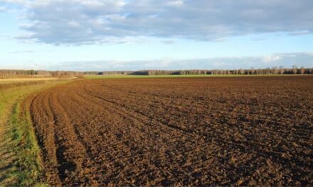 Tulcea: Străinii deţin 346 de hectare de teren agricol în judeţ