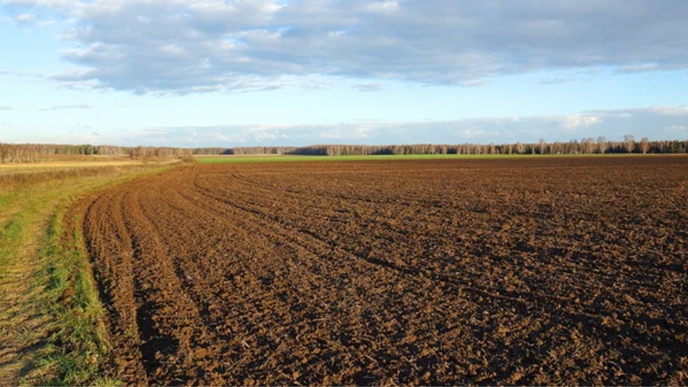 Tulcea: Străinii deţin 346 de hectare de teren agricol în judeţ