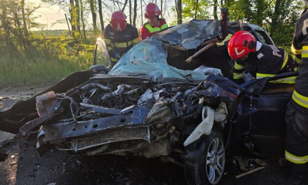 Un bărbat din Isaccea a murit într-un accident rutier în judeţul Constanţa