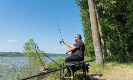 Asociaţia Pescarilor Recreativi-Sportivi, victorie în instanţă: Amenzile mărite din Delta Dunării, anulate