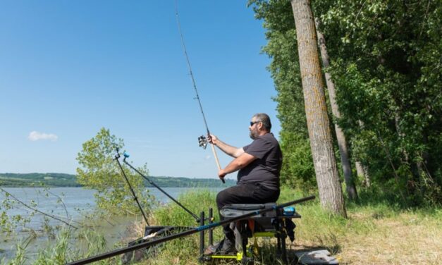Asociaţia Pescarilor Recreativi-Sportivi, victorie în instanţă: Amenzile mărite din Delta Dunării, anulate