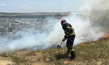 Incendiu în cimitirul din Tulcea: au ars 2,5 hectare de vegetaţie uscată