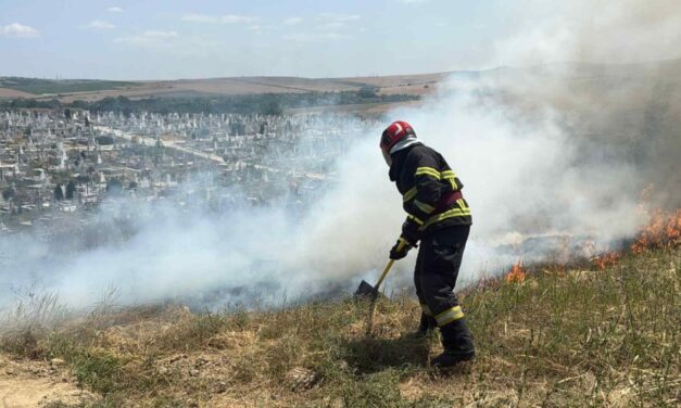 Incendiu în cimitirul din Tulcea: au ars 2,5 hectare de vegetaţie uscată