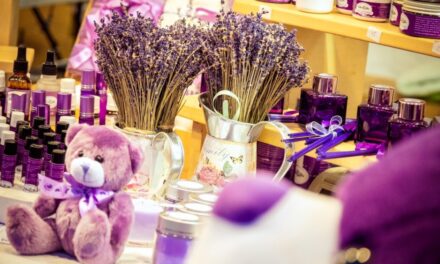 Lavanda Fest, pentru prima dată la Tulcea