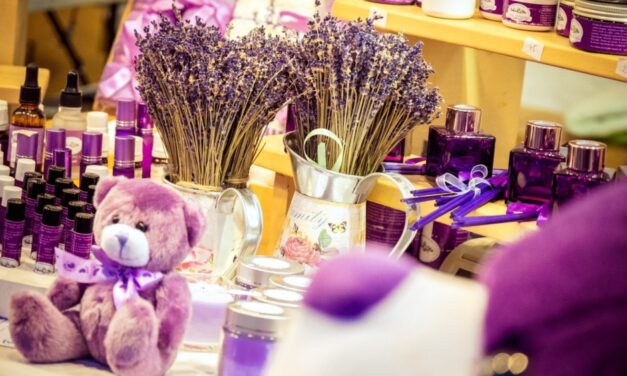 Lavanda Fest, pentru prima dată la Tulcea