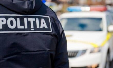 Percheziţii în Tulcea: Reţea de înşelăciune cu maşini, prejudiciu de peste jumătate de milion de lei