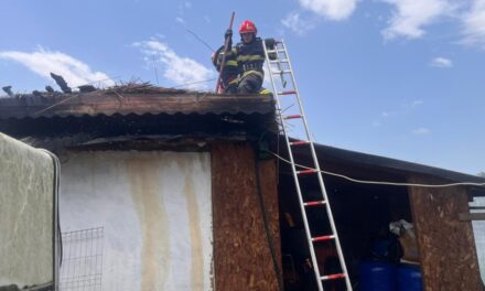Incendiu puternic la Ilganii de Jos pornit de la vegetaţia uscată. Două case şi o anexă au fost afectate