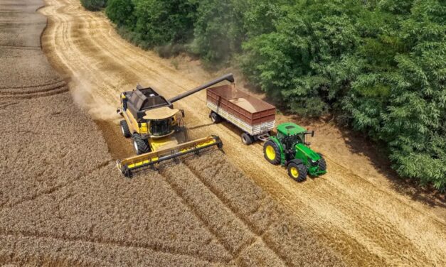 Producţiile de grâu, orz şi rapiţă, mult mai bune anul acesta. Fermierii tulceni se declară mulţumiţi