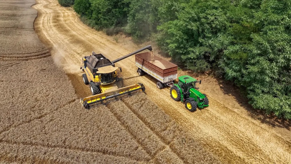 Producţiile de grâu, orz şi rapiţă, mult mai bune anul acesta. Fermierii tulceni se declară mulţumiţi