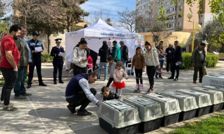 Târg de Adopţii – „Dăruieşte o Casă, Câştigă un Prieten”, săptămâna viitoare, în Parcul Personalităţilor din municipiu