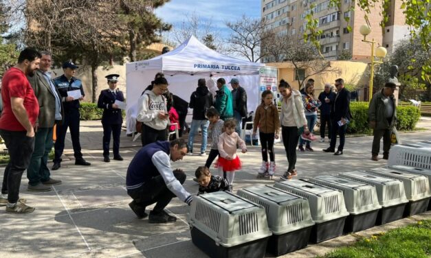 Târg de Adopţii – „Dăruieşte o Casă, Câştigă un Prieten”, săptămâna viitoare, în Parcul Personalităţilor din municipiu