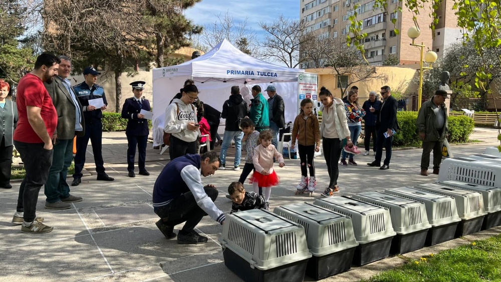 Târg de Adopţii – „Dăruieşte o Casă, Câştigă un Prieten”, săptămâna viitoare, în Parcul Personalităţilor din municipiu