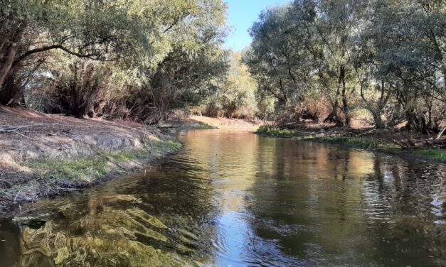 Canalele seacă, turismul din Delta Dunării se scufundă
