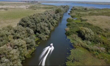 Peste 60 de solicitări de survol cu dronă în Delta Dunării