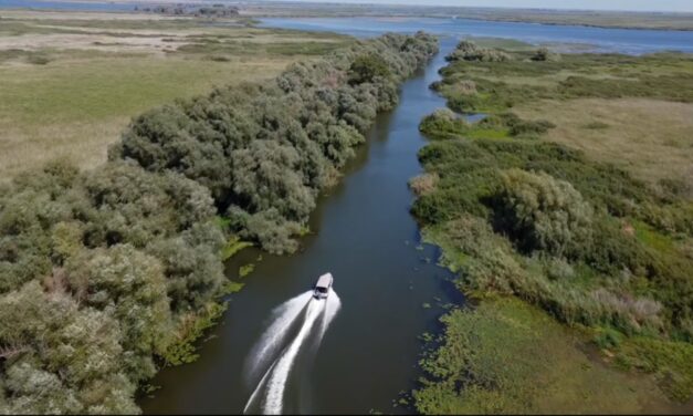 Peste 60 de solicitări de survol cu dronă în Delta Dunării