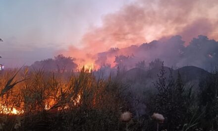 Două elicoptere Black Hawk intervin la stingerea incendiului din Delta Dunării