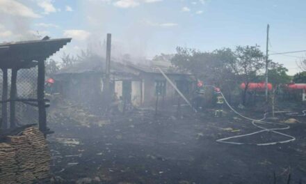 Incendiu de vegetaţie extins la anexele a trei gospodării nelocuite, în Casimcea