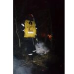 Incendiu în pădurea de lângă Mănăstirea Cocoş