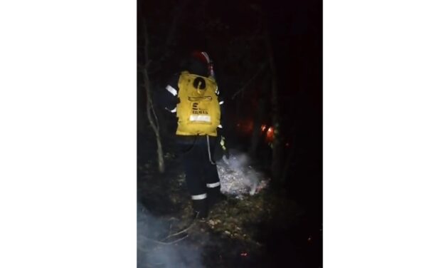 Incendiu în pădurea de lângă Mănăstirea Cocoş