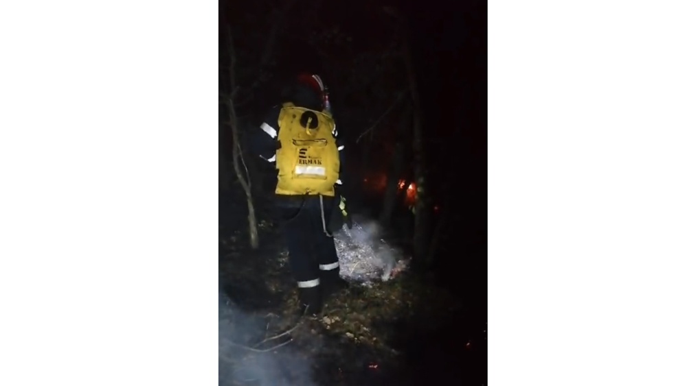 Incendiu în pădurea de lângă Mănăstirea Cocoş