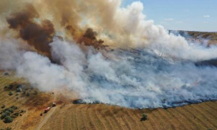 Incendiu la periferia municipiului. Ard zeci de hectare