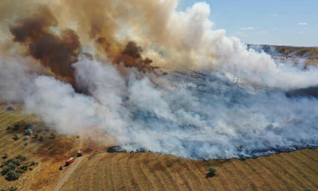 Incendiu la periferia municipiului. Ard zeci de hectare