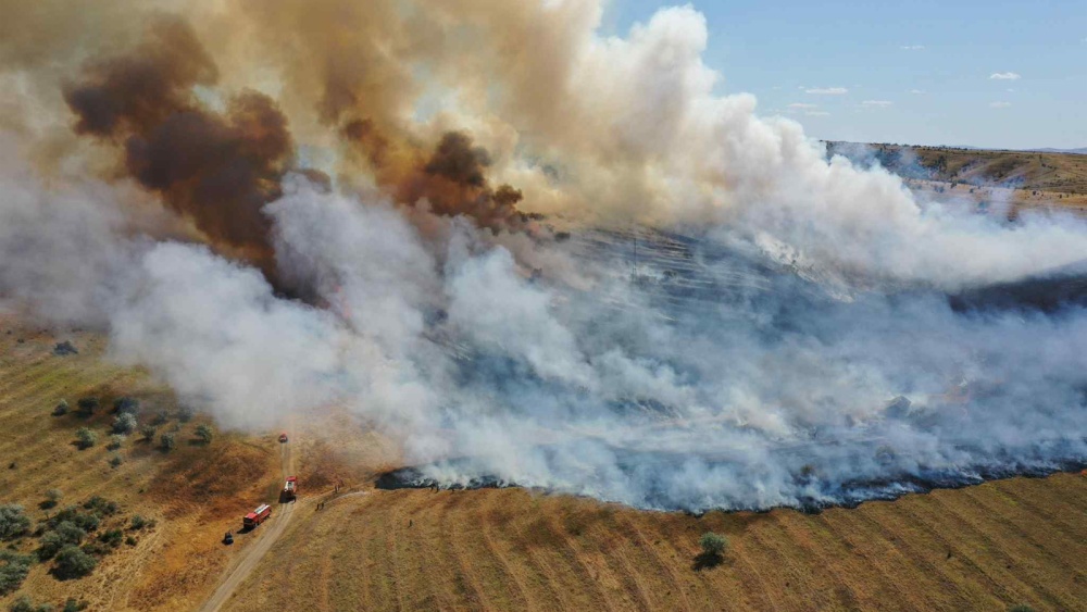 Incendiu la periferia municipiului. Ard zeci de hectare