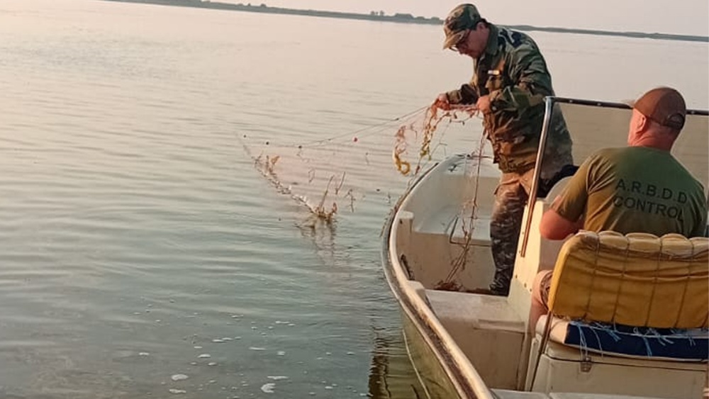 Misiuni antibraconaj în Delta Dunării: amenzi de peste 300.000 lei aplicate în luna iunie
