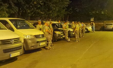 O nouă etapă de dezinsecţie are loc în municipiul Tulcea, până mâine