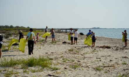 Plaja Sulina, igienizată de voluntari: peste 1,5 tone de deşeuri adunate