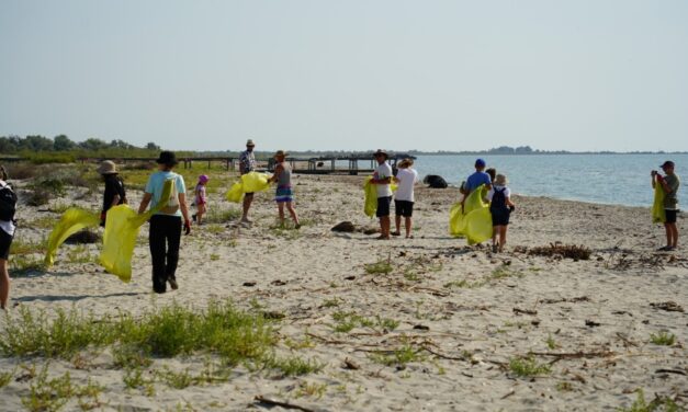 Plaja Sulina, igienizată de voluntari: peste 1,5 tone de deşeuri adunate